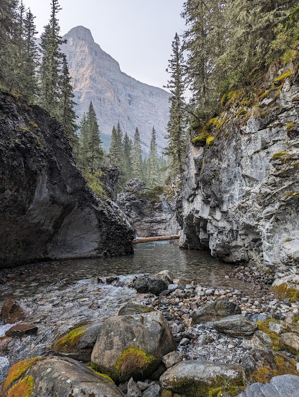 Ribbon Creek Day Use Area 3