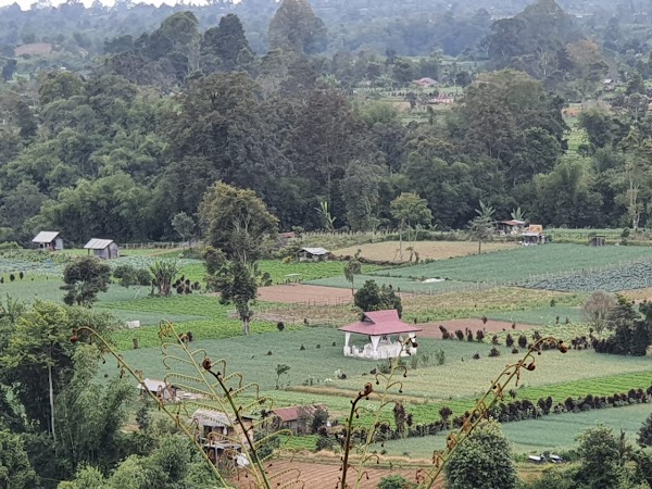 Berastagi