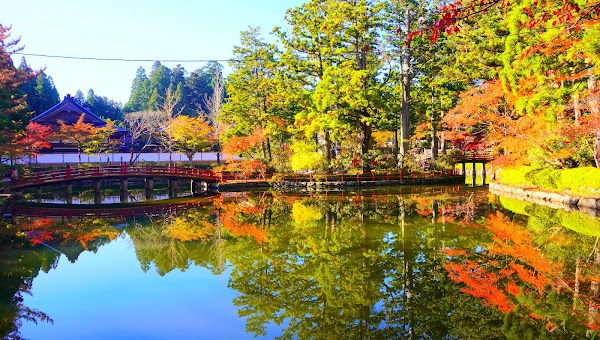 Kongobu-ji Danjo Garan (Elevated Precinct) 2