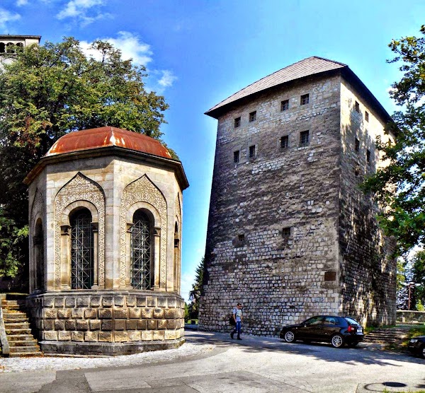 Captain's Tower 1
