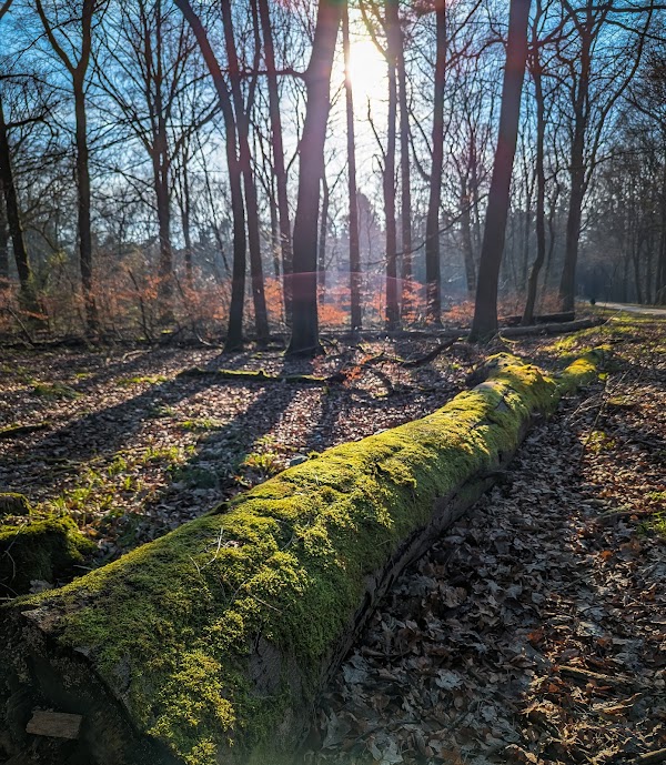 Gasselterveld 3