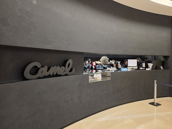 Camel Coffee leeum