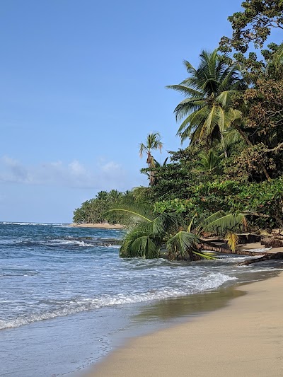 Playa Punta Uva