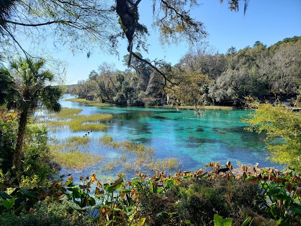 Rainbow Springs State Park 5