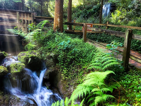 Rainbow Springs State Park 3
