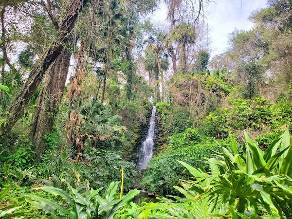 Rainbow Springs State Park 2
