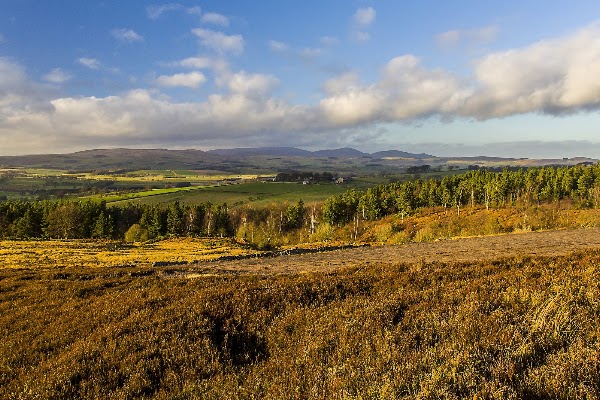Cheviot Hills