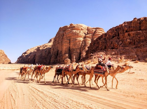 Wadi Rum Village 1