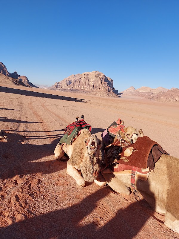 Wadi Rum Village 4