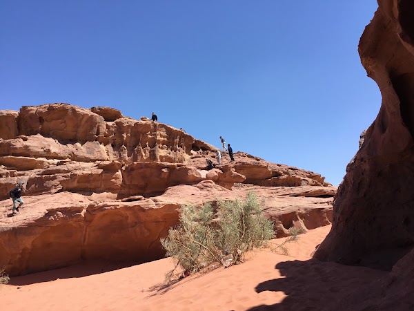 Wadi Rum Village 2