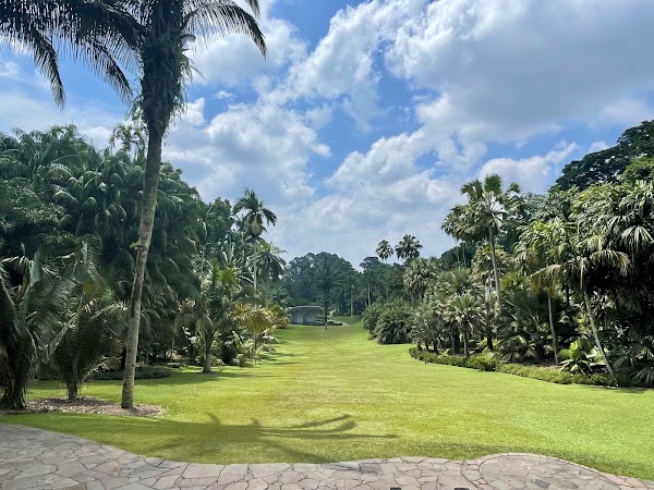 Palm Valley Lawn 1