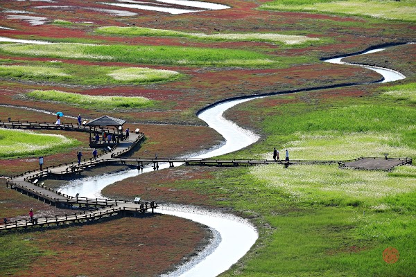 Taepyeong Salt Farm 1