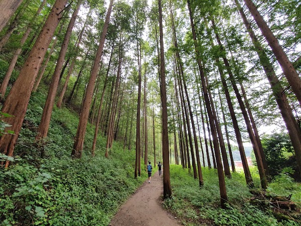 화인산림욕장