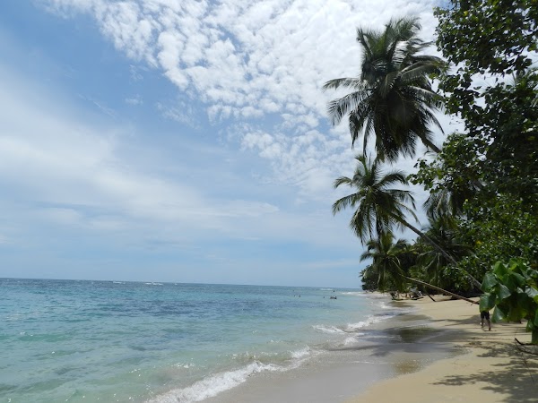 Playa Puerto Viejo 5