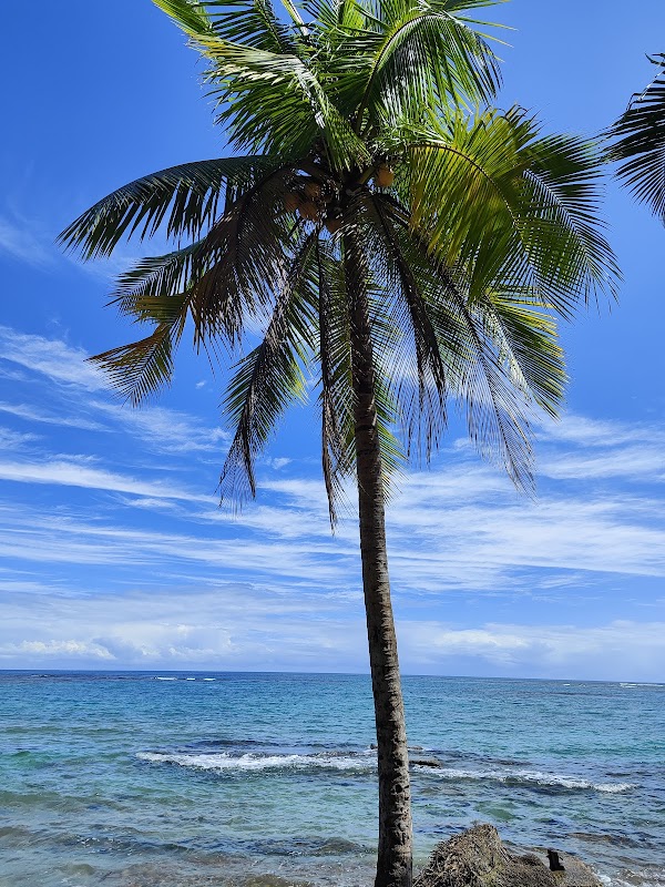 Playa Puerto Viejo 2