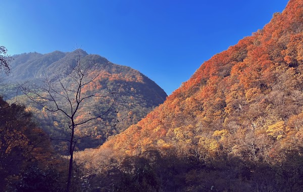 China 6