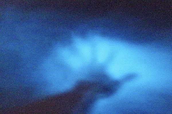 Bahía Bioluminiscente 2