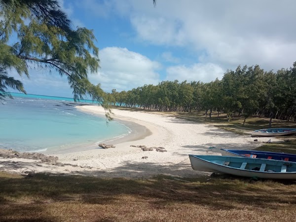 Rodrigues