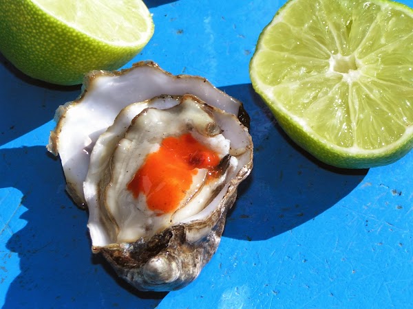 Tomales Bay Oyster Company 1