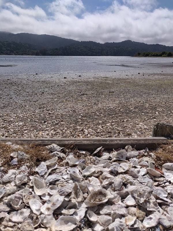 Tomales Bay Oyster Company 4