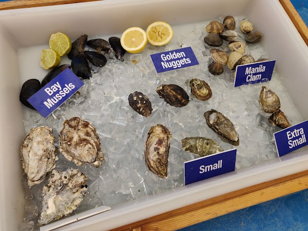 Tomales Bay Oyster Company 3