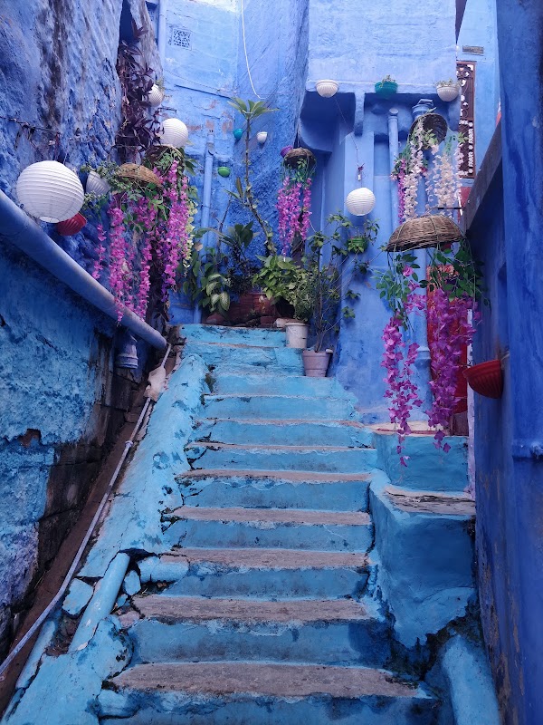 Blue Corridor Jodhpur