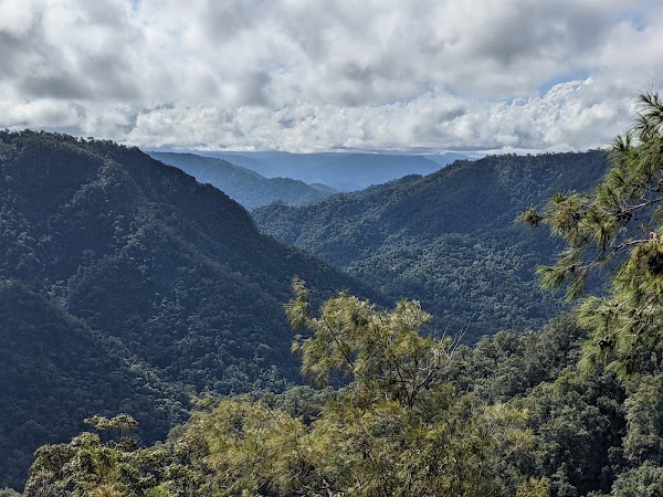 Girringun National Park 5