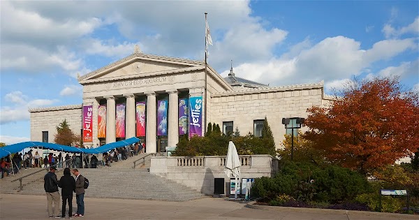 Shedd Aquarium 6