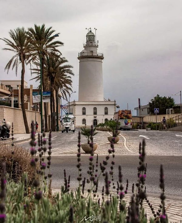 La Farola de Málaga 5