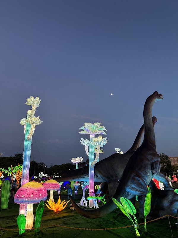 Luminocity Festival