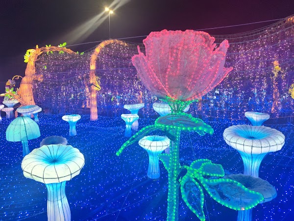 Luminocity Festival 3
