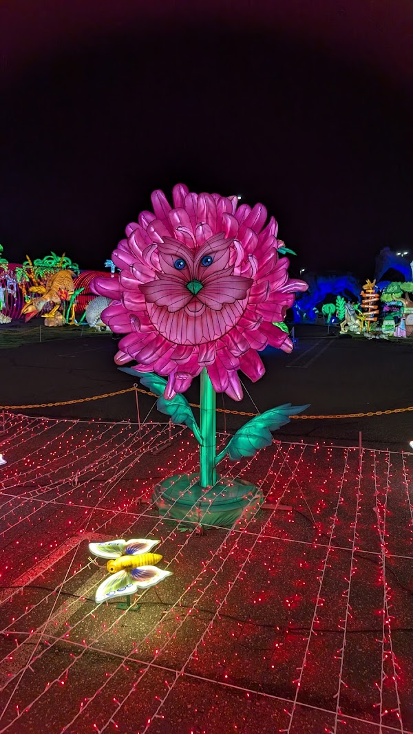 Luminocity Festival 2
