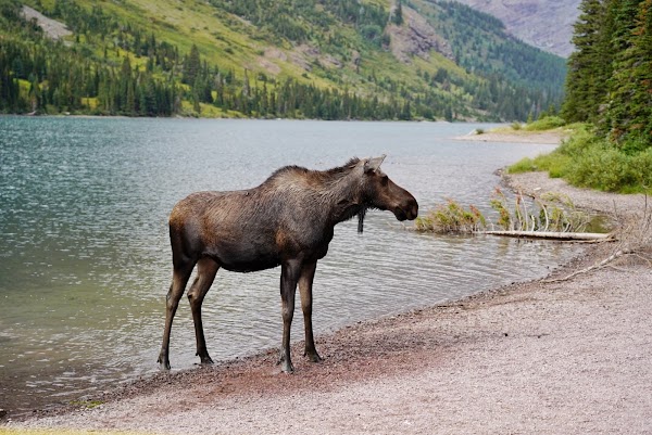 Lake Josephine 4