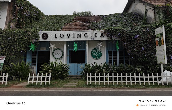 Loving Earth Cafe 4