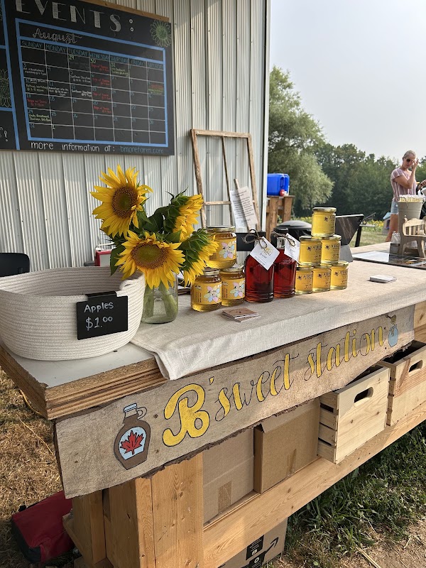 B'More Farm - Sunflower Maze 4