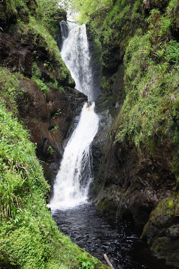 Glenariff Forest 5