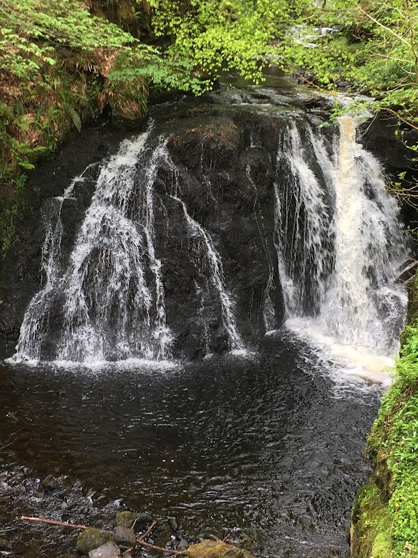 Glenariff Forest 4