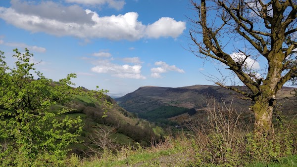 Glenariff Forest 3