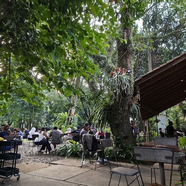 Masagi Koffee