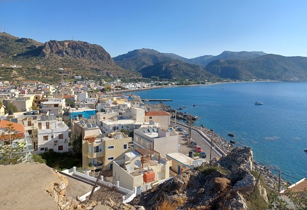 Palaiochora