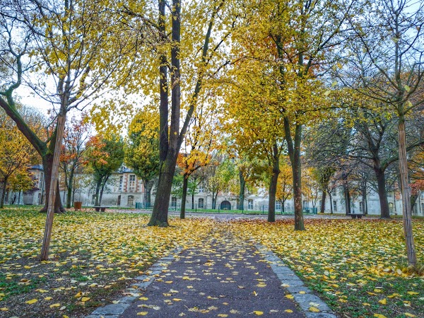 Hôpital-Saint-Louis Garden 5