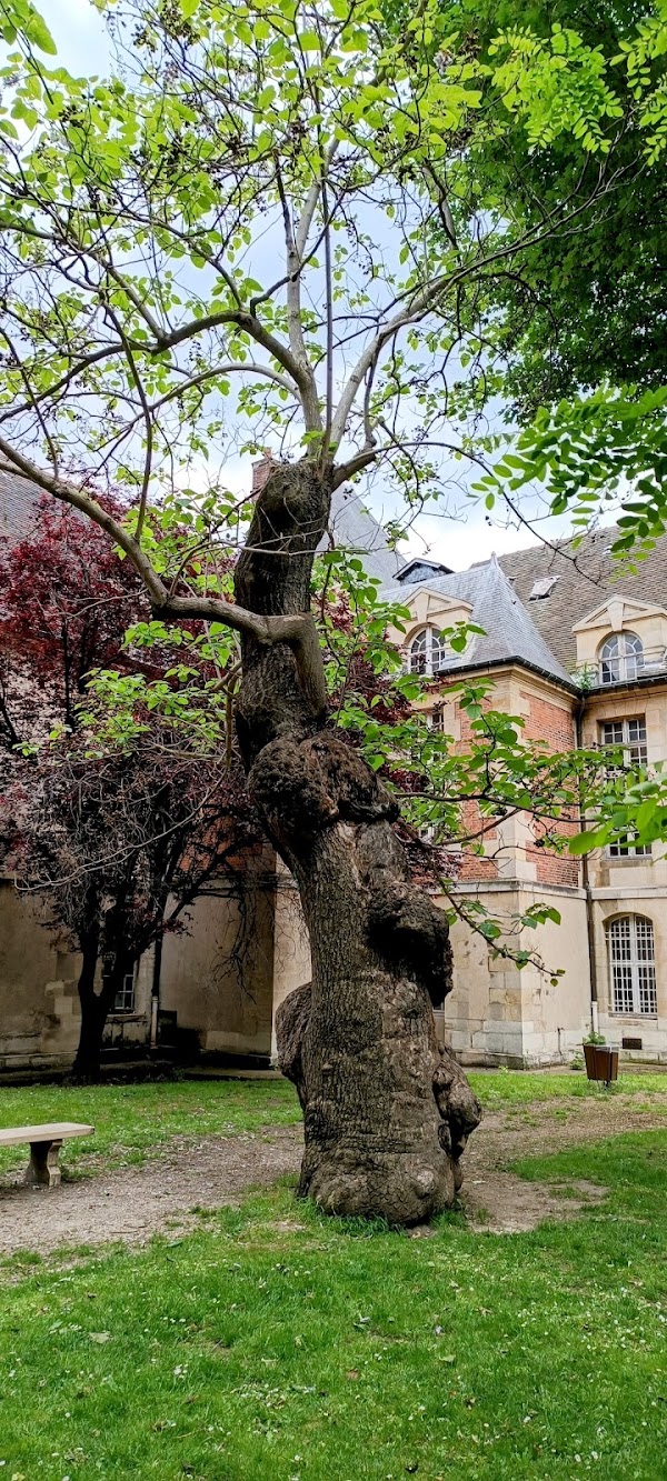 Hôpital-Saint-Louis Garden 4