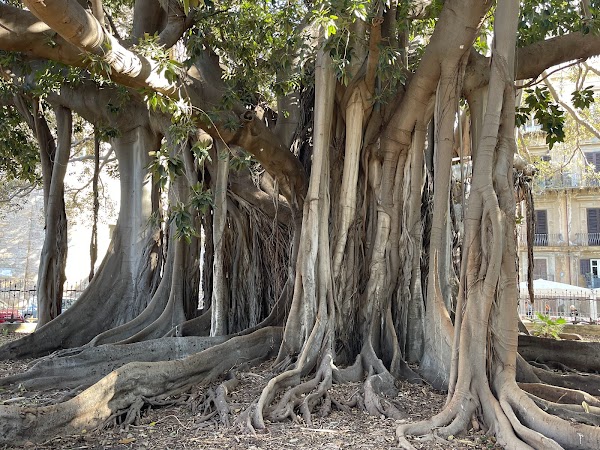 Sicilia 8