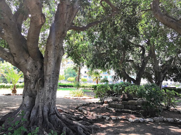 Giardino Garibaldi 5