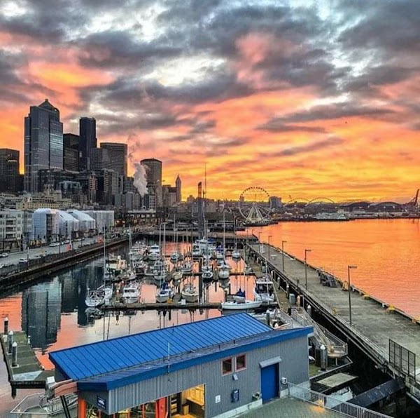 Seattle Waterfront 5