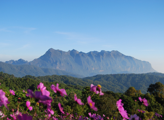 Doi Chiang Dao