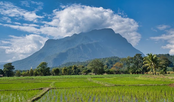 Doi Chiang Dao 3