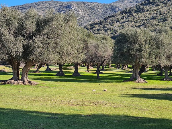 Parco Regionale della Maremma 2
