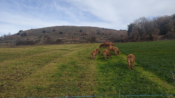 Montcortès 3