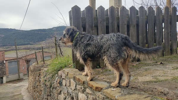 Montcortès 2